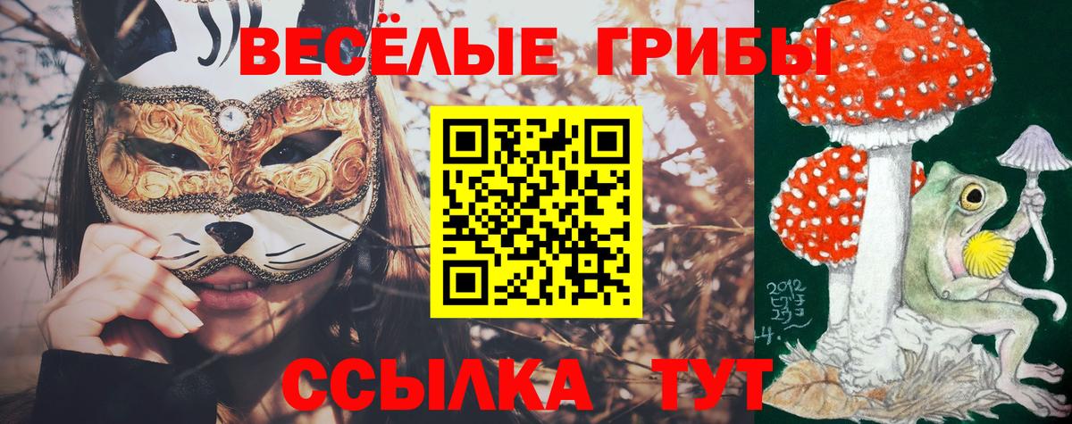 Иваново  Галлюциногенные грибы Magic Shrooms  Вход с VPN 
